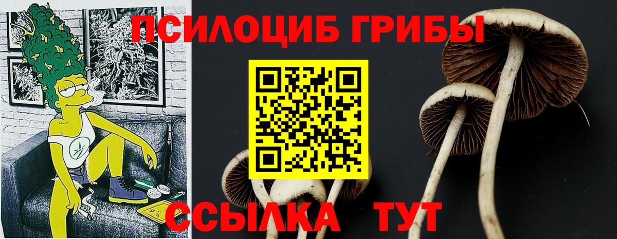 Псилоцибиновые грибы мухоморы  Вход с VPN  Владивосток 